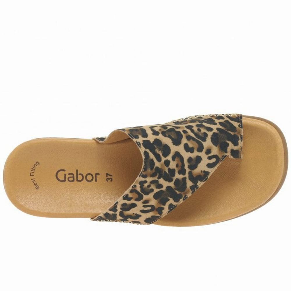 Gabor Lanzarote Printed Varvas Loop Naisten Muulit Beige Leopardi | FI0002967