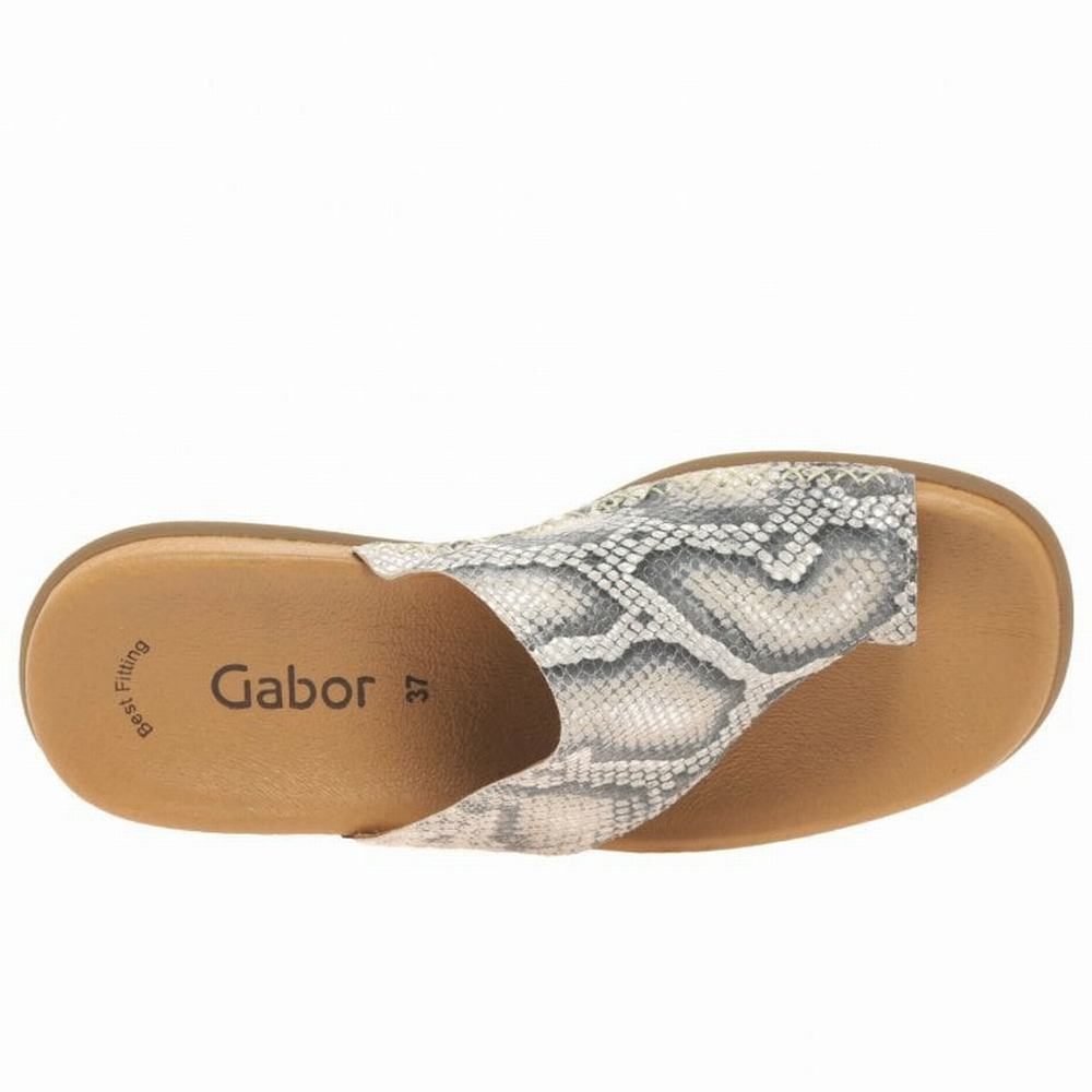 Gabor Lanzarote Printed Varvas Loop Naisten Muulit Beige Käärmeennahka | FI0002968