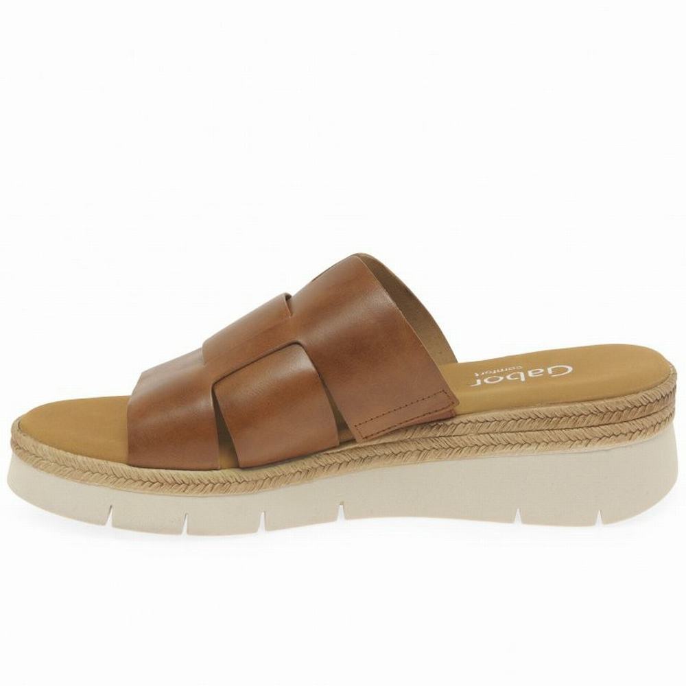 Gabor League Mule Sandals Naisten Kiilakorkosandaalit Ruskea | FI0002195